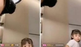 吴迪徒弟爆料视频大全集,揭秘幕后的精彩瞬间