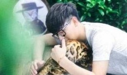 哈林爆料树懒视频,树懒萌动瞬间，萌态百出引网友热议